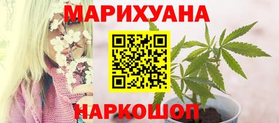 гашик Ливны